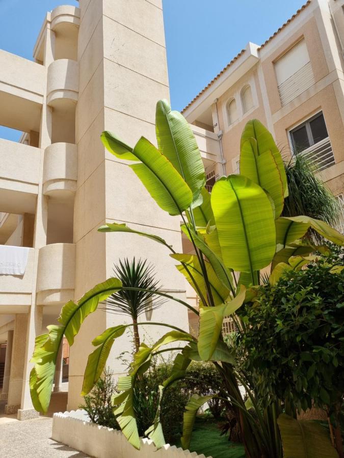 Flamenco Penthouse Sea View & Swimming Pool Apartment ตอร์เรเวียคา ภายนอก รูปภาพ